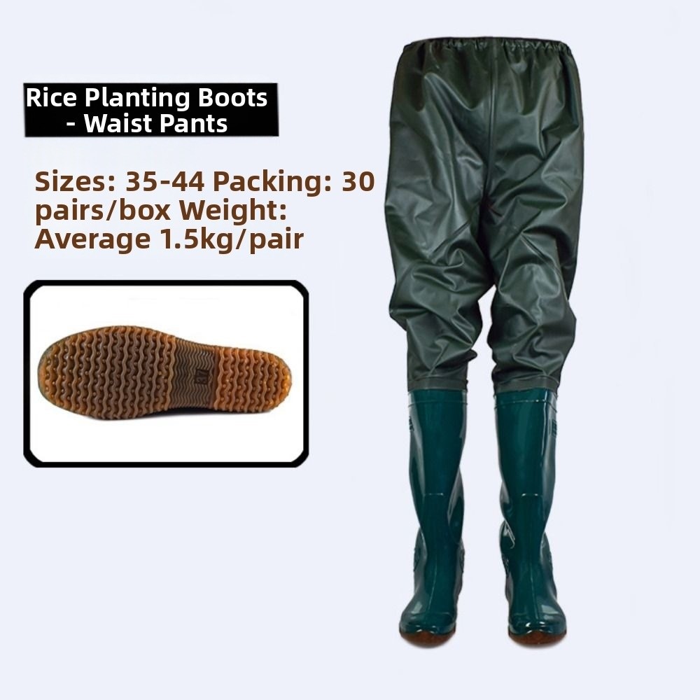 กางเกงปลูกถ่ายพลาสติก PVC กางเ - Fishing Pants Waterproof บทวิจารณ์และราคา